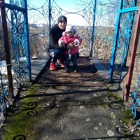 Александр Шестовец