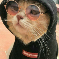 Артём Матвеенко