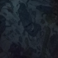 Владимир Щегольков