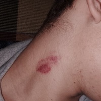 Максим Нестеров