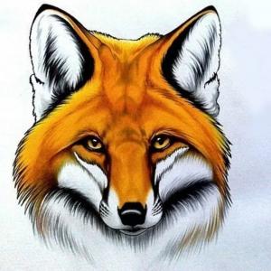 Fox_136