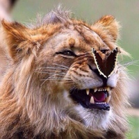 Русланбек Эрштукаев