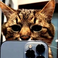 Али Абдулмеинов