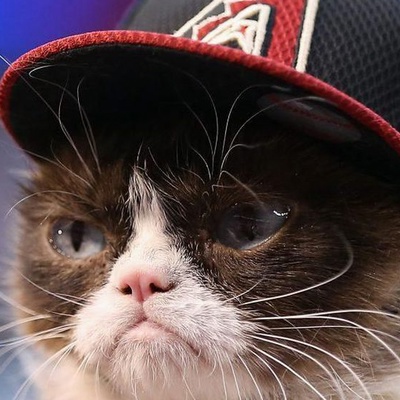 Владимир Липецкий