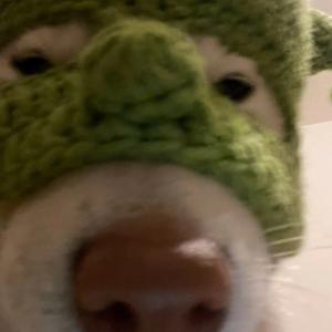 sponsor nervnogo sryva