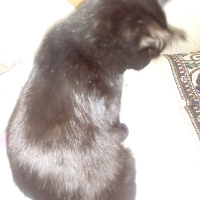 Максим Климов(1)