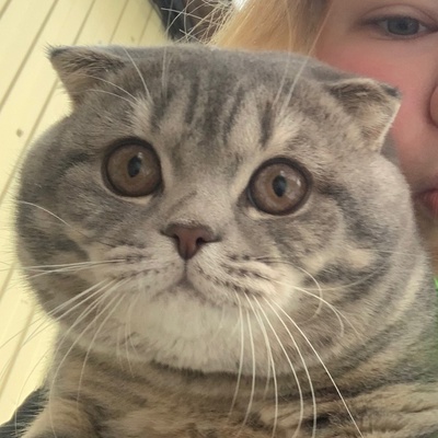 Полина Фирстаева