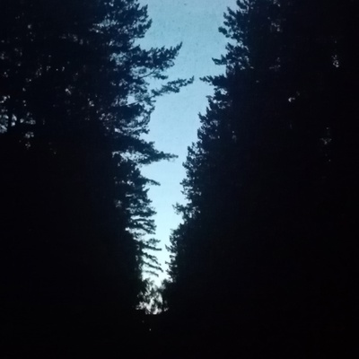 Павел Ваганов