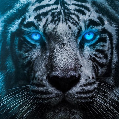 Виктор Жуков