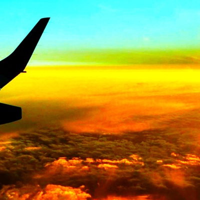 Кактус Шипович