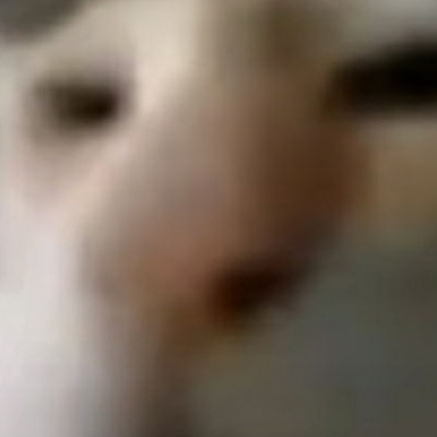 Кирилл Клюкевич