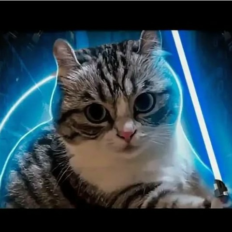 Кирилл Шевляков