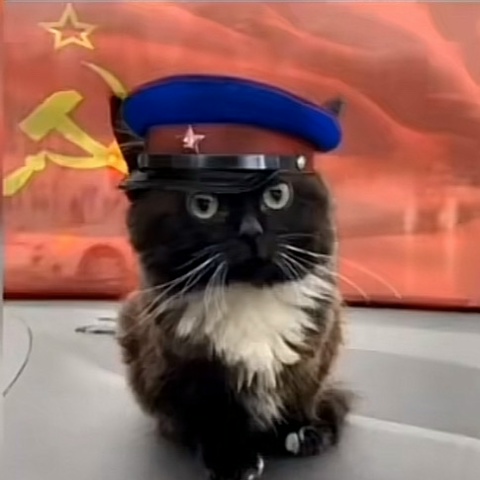 Макс Тренин