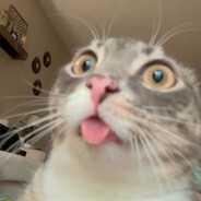 ♠Ky๖ۣۣۜPa†o๖ۣۣۜP