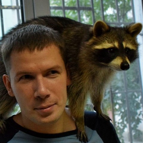 Виталий Вересов