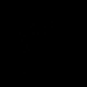 ViPPersone
