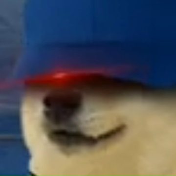 Артём Шапкин