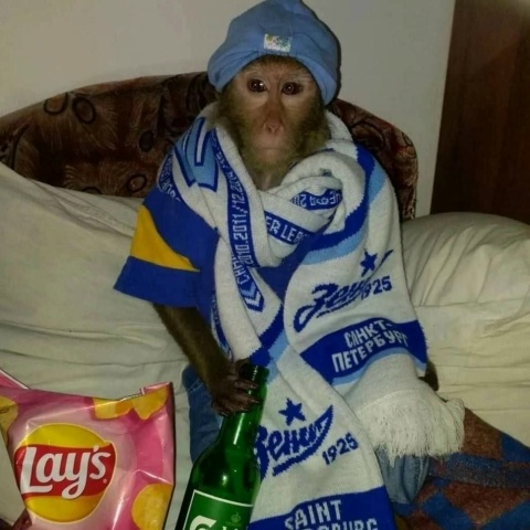 Матвей Кожин