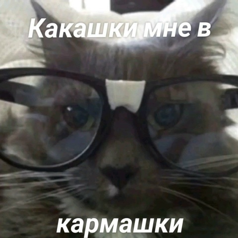 Кирилл Пальмин