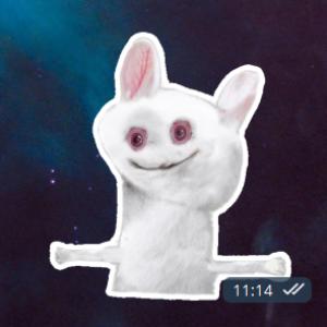 t0y