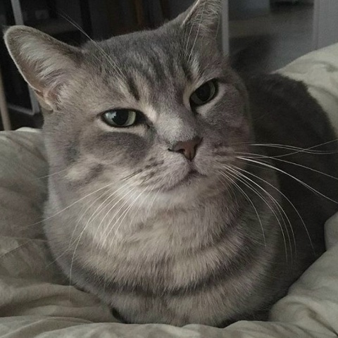 Анна Игнатова
